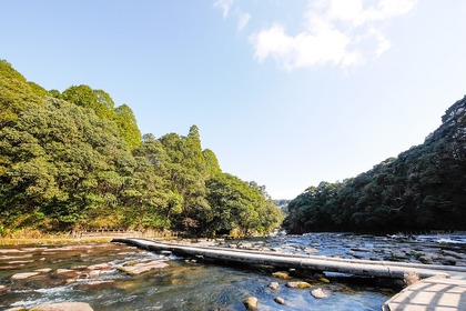 「赤霧島」ってどんな焼酎？その味わいと人気の理由を徹底解説 画像