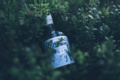 フィンランド産のジン「Arctic Blue Gin -アークティック ブルー ジン-」登場！ 画像