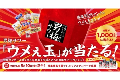 抽選で1,000名に！男梅サワー「ウメぇ玉」プレゼントキャンペーン実施 画像