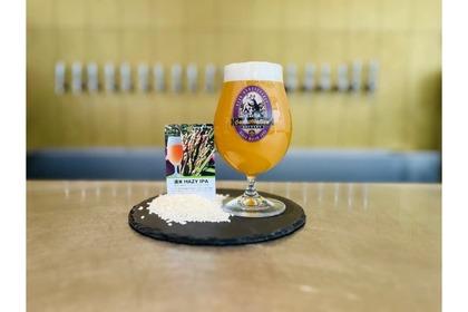 酒米の新ビール「酒米 HAZY IPA」が「サンクトガーレン タップルーム」で販売！ 画像