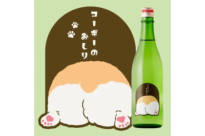 コーギーのように人懐っこい甘口の日本酒「コーギーのおしり」販売！ 画像