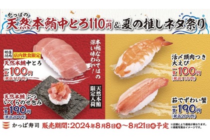 【天然の中とろが110円！お得に“寿司屋せんべろ”できる♪】夏の推しネタ祭りが酒飲みにとってお得すぎる 画像