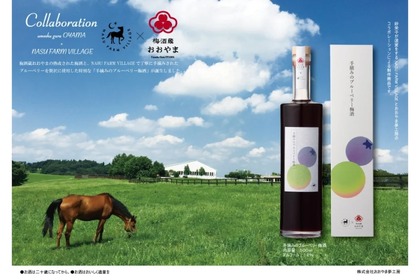 【これは旨い！梅酒×ブルーベリーの気になる1本】唯一無二の味わい「手摘みのブルーベリー梅酒」販売 画像