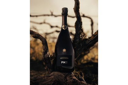 【シャンパーニュ・ボランジェのプレステージ・シャンパーニュ！】「PN TX20」発売 画像