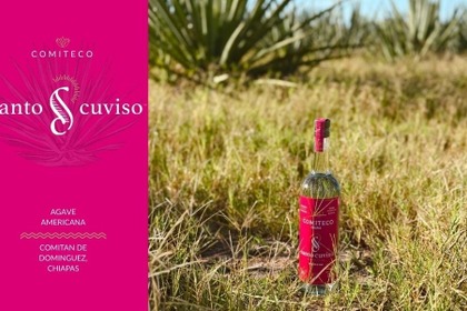 【地理的表示で保護！】伝統的アガベスピリッツ「COMITECO（コミテコ）」が新たに入荷 画像