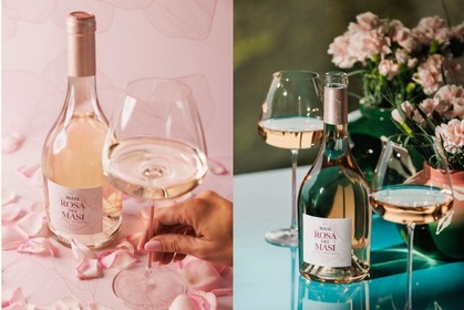 【イタリア・ヴェネトの名門MASIが贈る！】新生「ROSA dei MASI（ローザ・デイ・マァジ）」日本新発売 画像