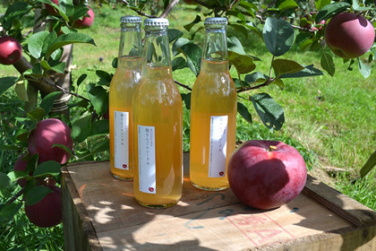希少りんご「旭」を使用したシードルのお酒が新発売！オホーツクのりんご栽培存続を願って開発 画像