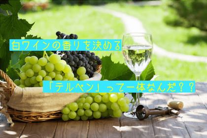 【ワイン好き必見の豆知識】華やかな白ワインの香りを決める「テルペン」とは？ 画像