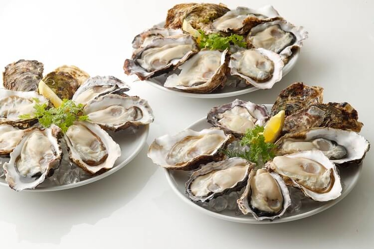 general-oyster
