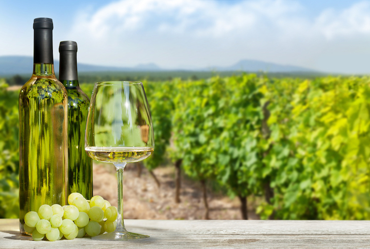 Colorful grapes in basket, white wine