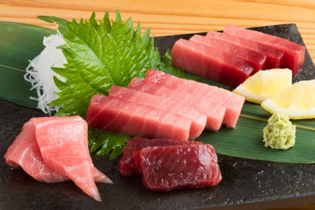 maguro