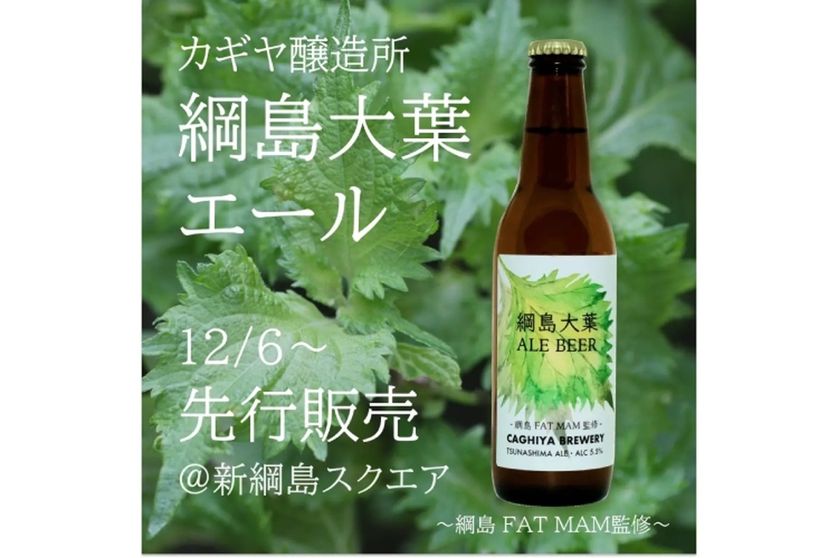 綱島産大葉を使用したビール「綱島大葉エール」が先行発売！