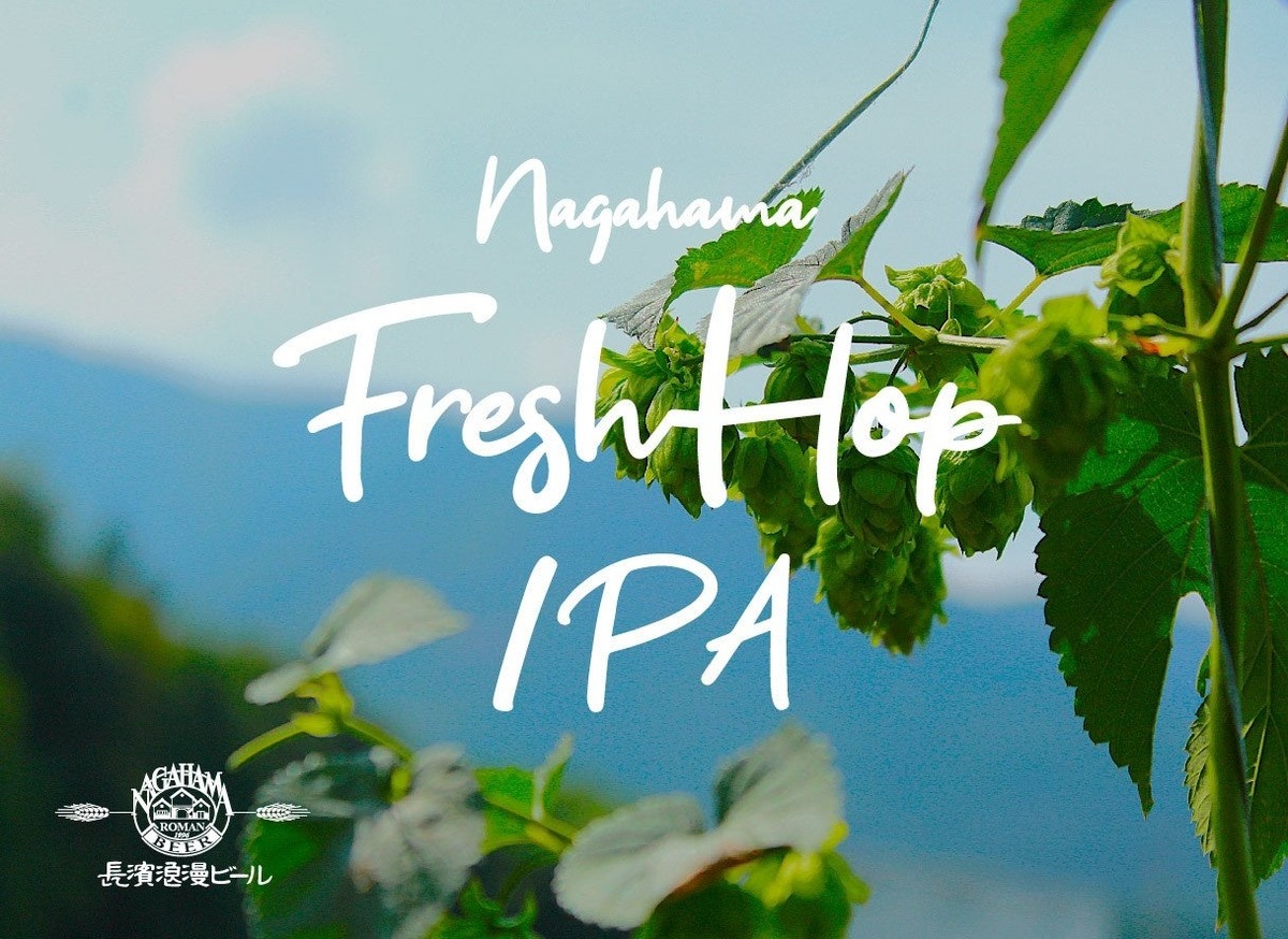 【生ホップを使用したフレッシュホップIPA！】限定醸造ビール「Nagahama Fresh Hop IPA」販売