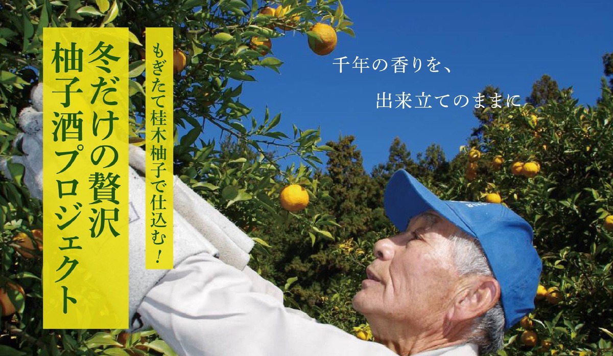 【12月に採れた柚子をお酒に！】「もぎたて桂木柚子で仕込む！冬だけの贅沢柚子酒プロジェクト」販売