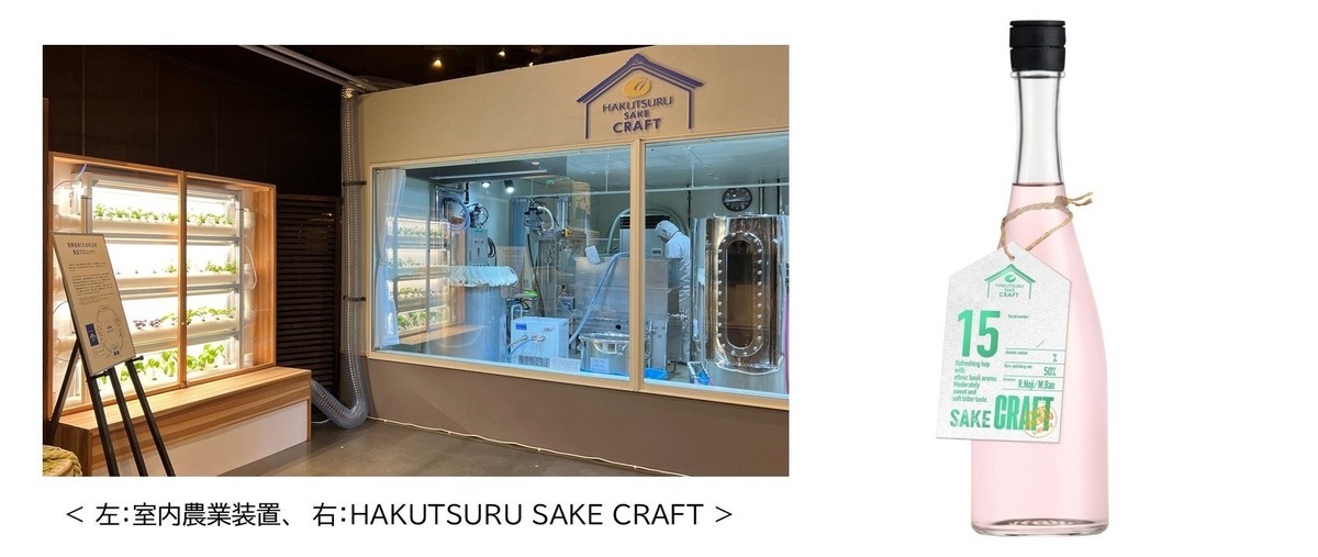 【ハーブが香るSAKE！】「HAKUTSURU SAKE CRAFT №15 ホップ＆バジル」263本限定で発売