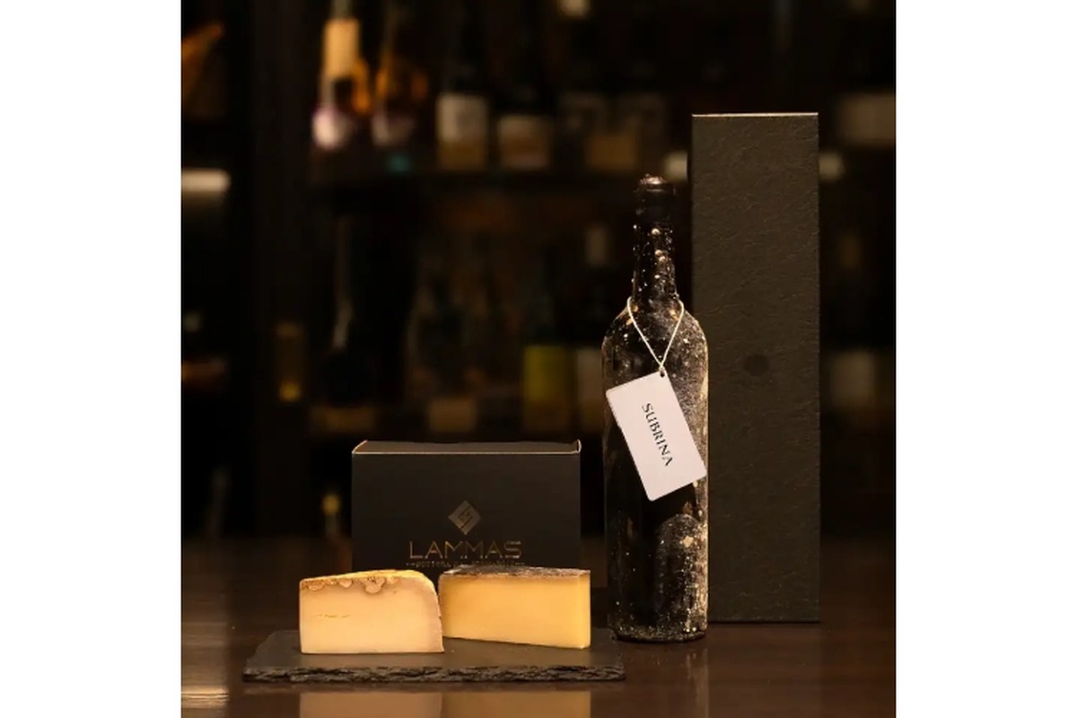 【限定セット！】「海底熟成ワインとチーズ熟成士が手がけるチーズのペアリングギフトセット」期間限定で販売