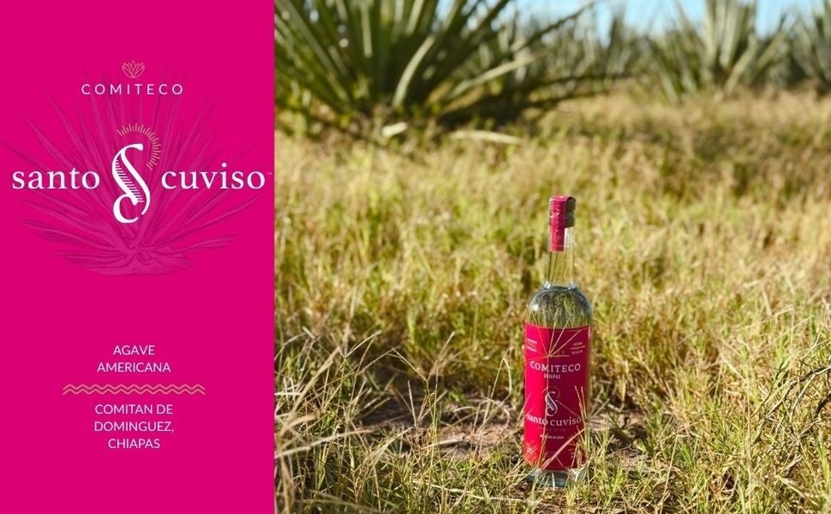 【地理的表示で保護！】伝統的アガベスピリッツ「COMITECO（コミテコ）」が新たに入荷