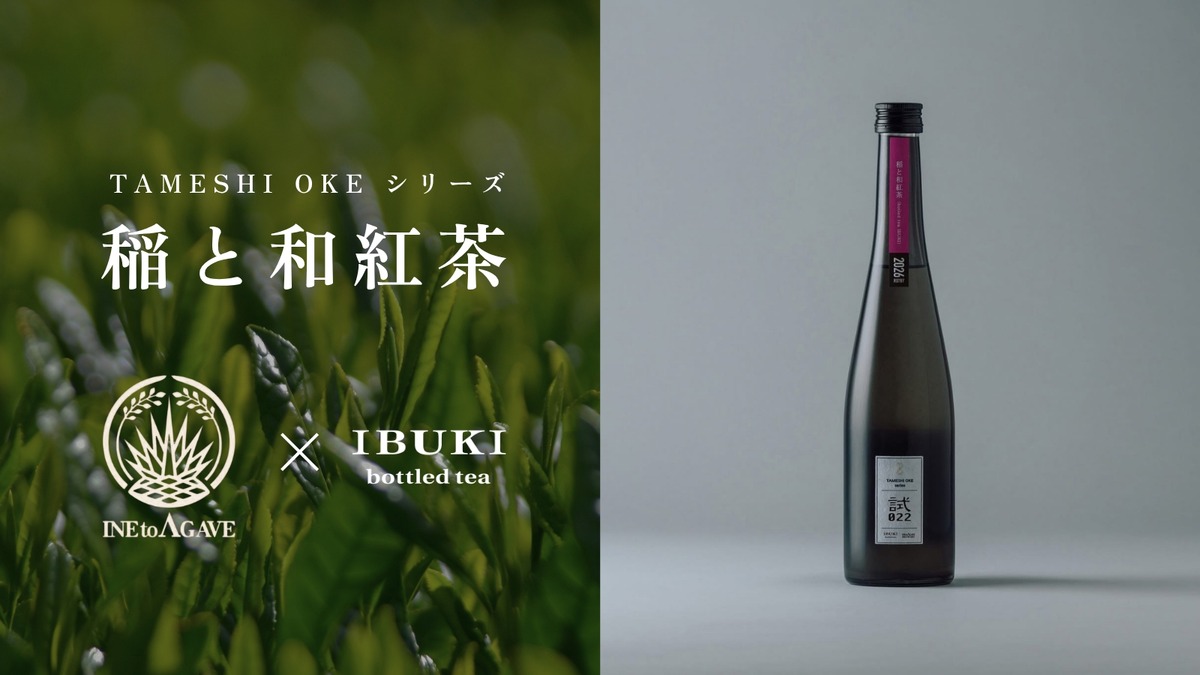 【紅茶を使ったのにマスカットのような香り！？】クラフトサケ「稲と和紅茶」が新登場