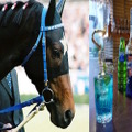 自分の推し馬がカクテルに！？カフェ＆Bar「Colt」にて競馬カクテル提供中