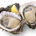 oyster