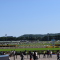 いま”競馬場飲み”がアツイ！初心者の私が「東京競馬場」を満喫してきた