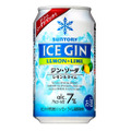 ICEGIN