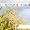 【ちょっとマニアな日本酒講座】酒米の王様「山田錦」の有名産地をまとめてみた