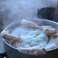 【日本酒のプロが教える】酒質を決める重要工程「蒸米」について詳しく知ろう