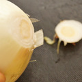 onion002