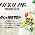 え！？昆虫のドリンク！？「タガメサイダー」がヴィレヴァンオンラインに登場！