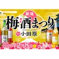 梅酒90種以上を飲み比べ！「厳選梅酒まつりin小田原」開催