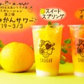 高品種・高品質な「たらみかんサワー」が果実酒専門店に期間限定で登場！