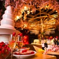 「お花見ワインバル ESOLA」開催！2,500本の桜を楽しむ
