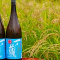 フレッシュな新米新酒「一ノ蔵 本醸造しぼりたて生原酒」が発売！