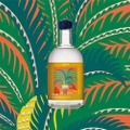 粟国島の黒糖を使用したラム「AGUNI ISLAND RUM」が発売！