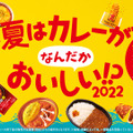 「夏はなんだかカレーがおいしい」ので、ファミマ新商品で“ワンコイン家飲みセット”を考えてみた