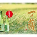 一ノ蔵の新定番純米吟醸！食中酒に良い新商品「一ノ蔵 純米吟醸」発売