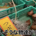【動画あり】ウニイクラたっぷりの刺盛りがお得すぎ！「魚熊鮮魚店と立ち飲みぼてふり」に行ってきた