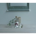 クラフトジン「HOLON SEASONAL 夏 ＜梅紫蘇＞」が限定販売！
