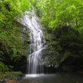 芋焼酎初心者にもおすすめ！霧島で一番フルーティな「茜霧島」の魅力