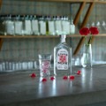 廃棄されてしまう母の日カーネーションなどを使用！「LOSS IS MORE GIN」販売