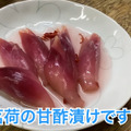 【動画あり】吉田類も訪れた！恵比寿の老舗もつ焼き「まくら とよかつ」に行ってきた