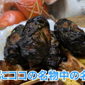 【動画あり】吉田類も訪れた！恵比寿の老舗もつ焼き「まくら とよかつ」に行ってきた