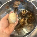 【おつまみレシピ】オーブンで簡単！ワインにあわせたい「里芋とバジルの塩焼き」