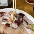 【居酒屋レポ動画】この刺盛りが1500円！？コスパ抜群＆バカ盛り！鐘ヶ淵「魚真」に行ってきた