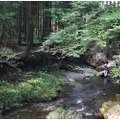 【山里で子どもと一緒に楽しめるビールフェス】「2024 ときがわクラフトビールフェス」が開催