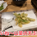【居酒屋レポ動画】お鍋100円＆お酒が半額だと...！？衝撃価格に驚き連発！小平「鳥勝」に行ってきた