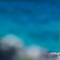 【熟成に特化した本格ラム！】ジャパニーズラム「KIKAI RUM First Limited Edition ひととせ - Hitotose -」が850本限定リリース