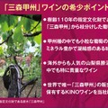 【指定文化財・樹齢110年の原木から枝分けした葡萄を醸造！】希少な「三森甲州」ワイン3種が発売