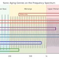 【ロックや奄美民謡を聴かせた熟成酒！】6種の音楽による6タイプの「NISHIHIRA's Sonic Aging」一般販売